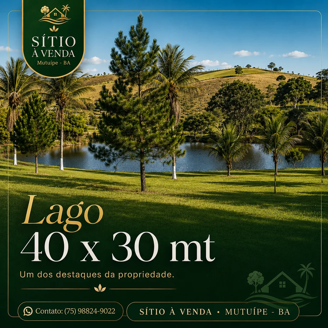 Peça de divulgação: o lago de 40 por 30 metros