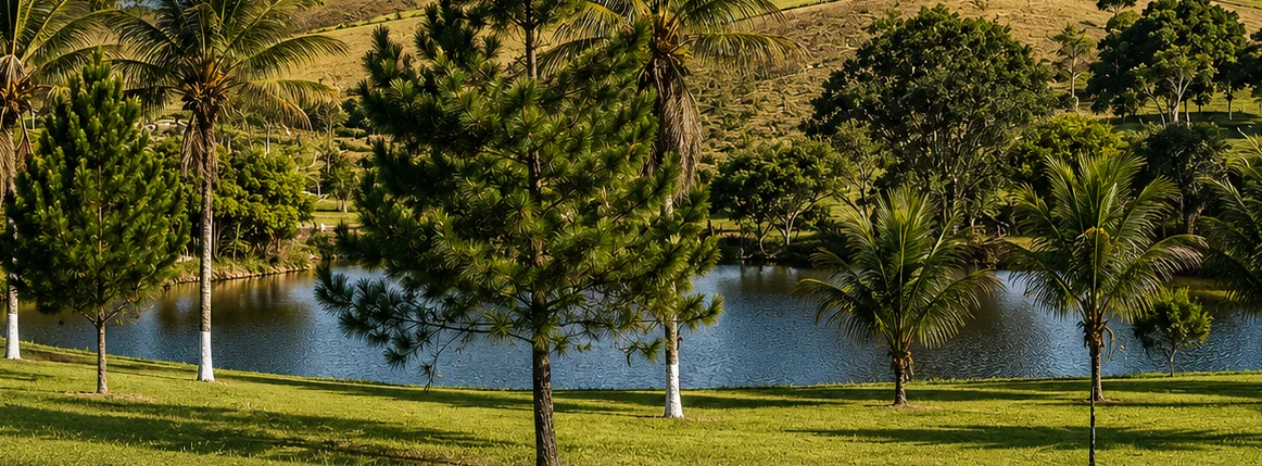 Píer de madeira avançando sobre o lago, com margem calçada e coqueiros