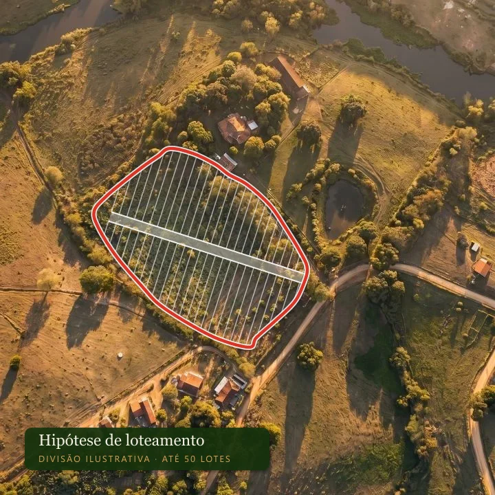 Foto aérea com a parte baixa do terreno demarcada e dividida, de forma ilustrativa, em 50 lotes com rua central